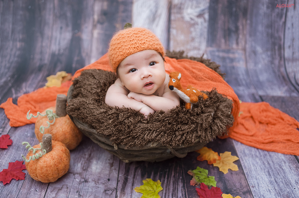 album ảnh newborn 24